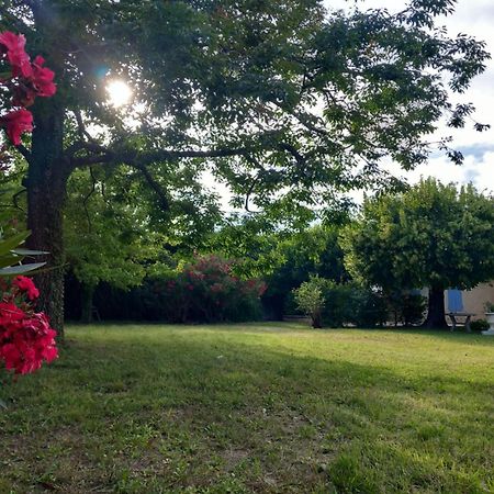 Villa Le Petit Mas Des Alpilles En Provence à Saint-Étienne-du-Grès Extérieur photo