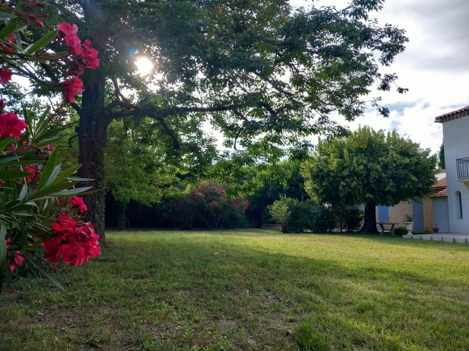 Villa Le Petit Mas Des Alpilles En Provence à Saint-Étienne-du-Grès Extérieur photo